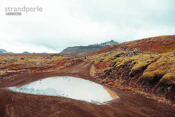 Tourist auf Feldweg zwischen moosbedecktem Lavagestein  Reykjavík  Gullbrusysla  Island