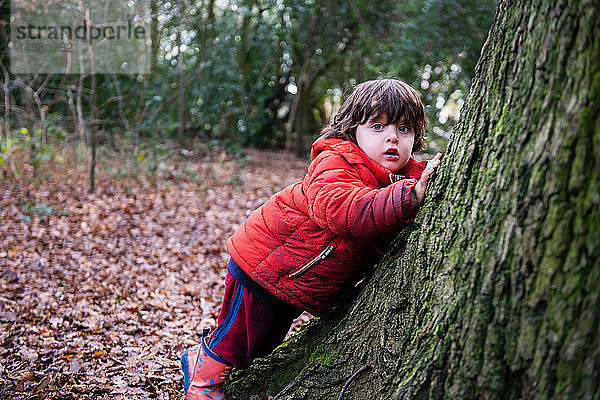 Süßer Junge  der sich im Wald an einen Baumstamm lehnt