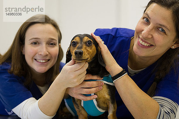 Tierärzte trösten Hund vor der Behandlung