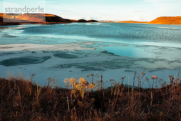 Myvatn-See  Akureyri  Eyjafjardarsysla  Island