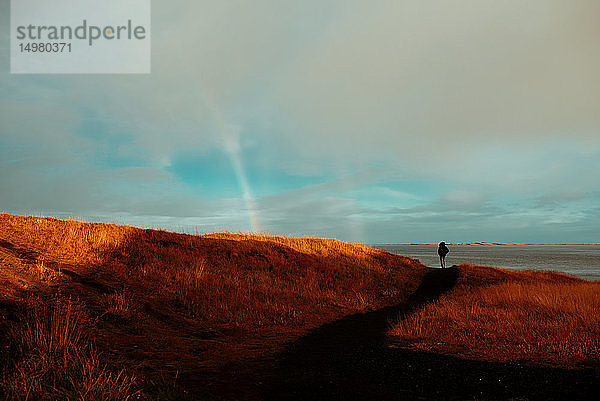 Tourist mit Meerblick  Stykkishólmur  Snafellsnes- og Hnappadalssysla  Island