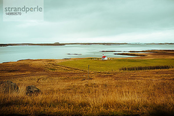 Herbstlandschaft  See im Hintergrund  Reykjavík  Gullbringusysla  Island