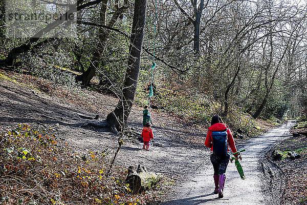 Mutter und zwei Söhne gehen und spielen am Waldweg  Rückansicht