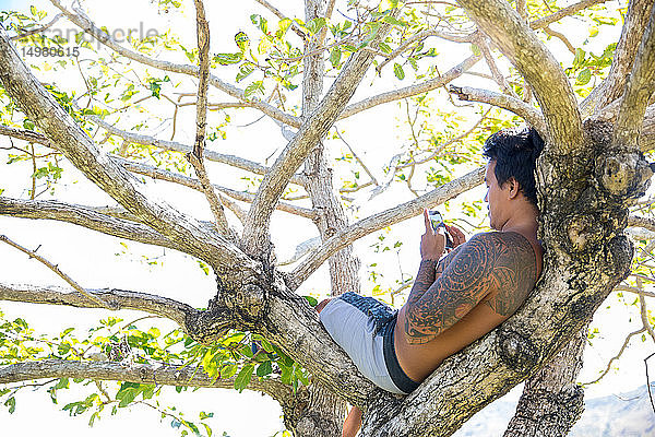 Mann mit Smartphone am Baum  Pagudpud  Ilocos Norte  Philippinen