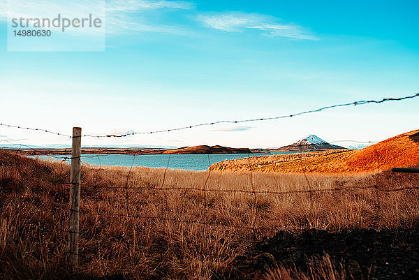 Myvatn-See  Akureyri  Eyjafjardarsysla  Island