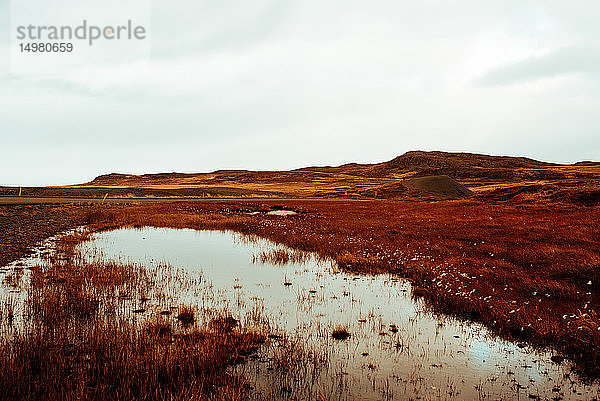 Herbstlandschaft  Reykjavík  Gullbringusysla  Island