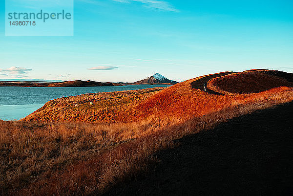 Myvatn-See  Akureyri  Eyjafjardarsysla  Island