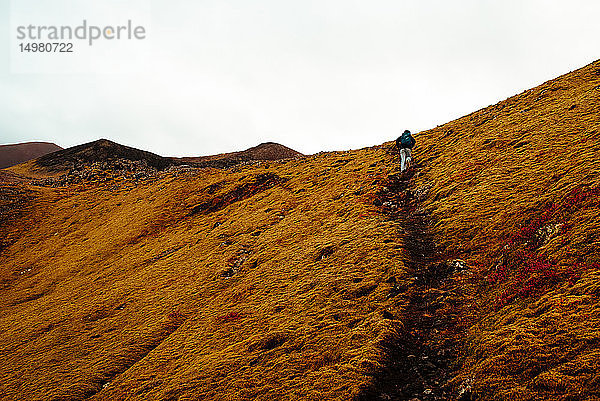 Touristisches Bergwandern  Reykjavík  Gullbringusysla  Island