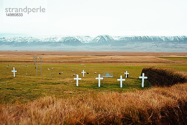 Christlicher Friedhof  Berge im Hintergrund  Eskifjörður  Sudur-Mulasysla  Island