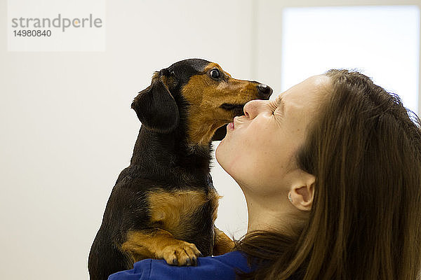 Hund leckt das Gesicht des Tierarztes