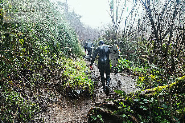 Junge männliche Surfer in Neoprenanzügen gehen bei Regen die Küstenpiste hinauf  Arcata  Kalifornien  Vereinigte Staaten