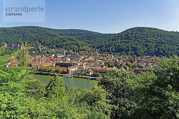 Philosophengaertchen  Philosophenweg  Heidelberg  Baden-Wuerttemberg  Deutschland  Europa