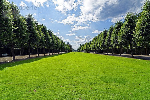 Schlossgarten  Schloss Schwetzingen  Baden Württemberg  Deutschland  Europa