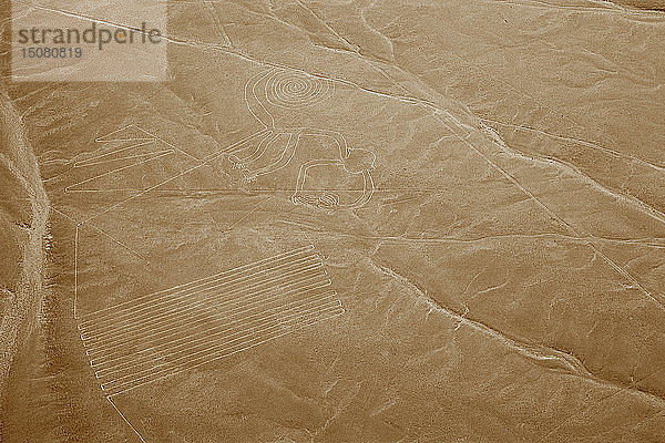 Der Affe  Nazca-Linien  Ica  Peru  2015. Schöpfer: Luis Rosendo.
