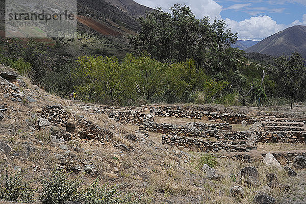 Kotosh  Huanuco  Peru  2015. Schöpfer: Luis Rosendo.