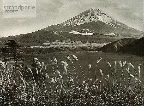 Fuji und das Kaia-Gras   1910. Schöpfer: Herbert Ponting.
