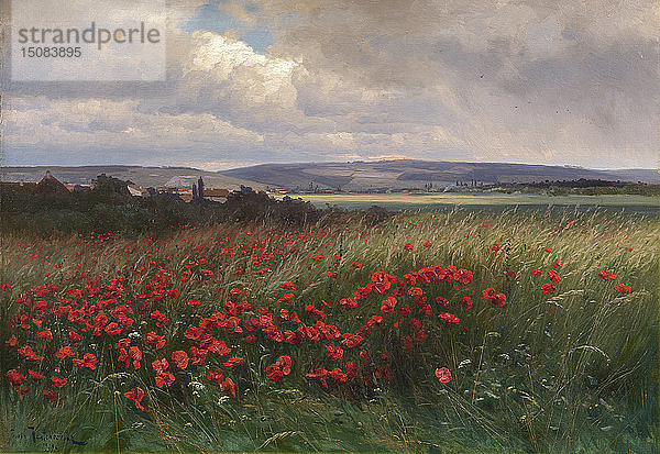 Mohnblumen  1909.