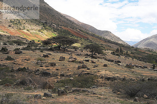 Kotosh  Huanuco  Peru  2015. Schöpfer: Luis Rosendo.