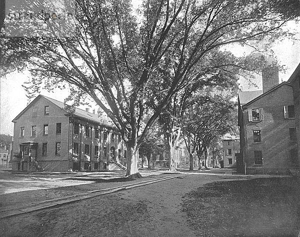 Lesesaal und Schatzkammer  Yale College  New Haven  Connecticut  USA  um 1900. Schöpfer: Unbekannt.