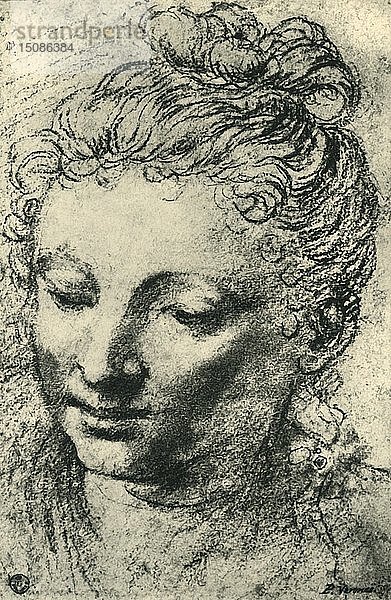 Kopf einer nach unten blickenden Frau  Mitte 16. Jahrhundert  (1943). Schöpfer: Paolo Veronese.