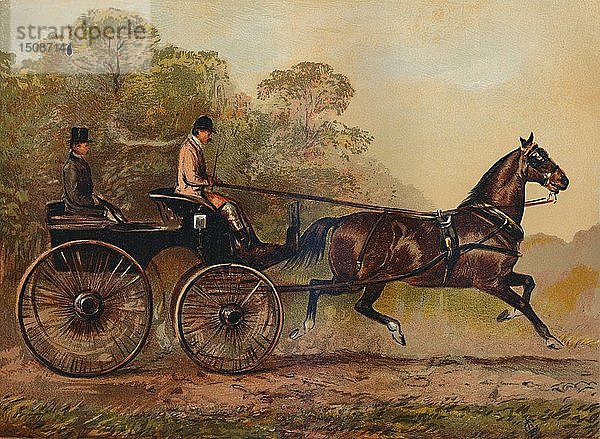 Einspänniges Phaeton-Pferd 'Columbine'. Eigentum von Charles Baynes Esq.  1872'  um 1879 Schöpfer: Unbekannt.