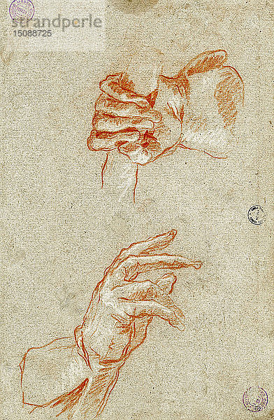 Studie der Hände. Schöpfer: Tiepolo  Giambattista (1696-1770).