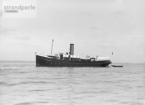 Das Dampfschiff Porthos   1912. Schöpfer: Kirk & Sons aus Cowes.