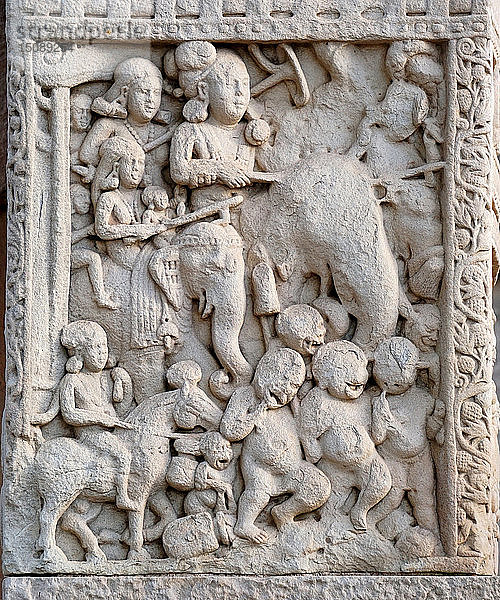 Kaiser Ashoka der Große auf einem Elefanten  1. Jahrhundert v. Chr.