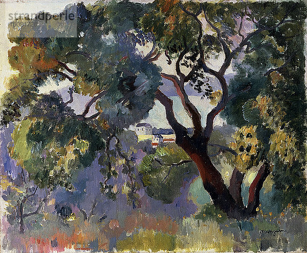 Landschaft in Saint-Tropez   1905. Künstler: Henri Manguin