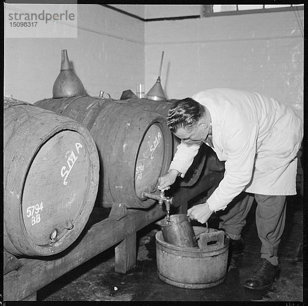 Mann zapft eine Bierprobe aus einem Fass  Burton upon Trent  Staffordshire  1965-1968. Schöpfer: Eileen Deste.