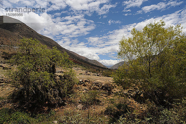 Kotosh  Huanuco  Peru  2015. Schöpfer: Luis Rosendo.