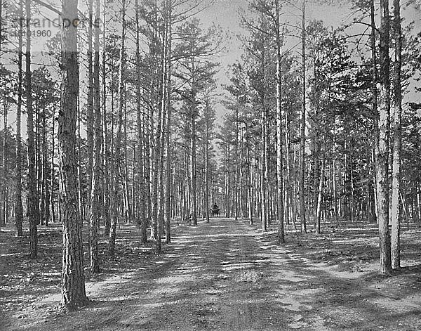 Fahrt im Piney Wods Park  Lakewood  New Jersey   um 1897. Schöpfer: Unbekannt.