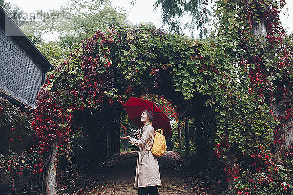 Frau hält Regenschirm an einem mit Reben bedeckten Bogen