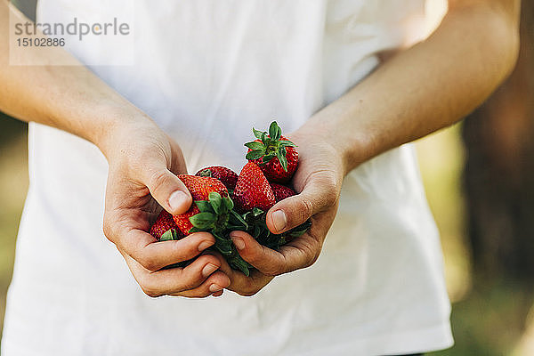 Hände eines jungen Mannes mit Erdbeeren