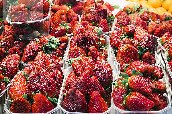 Körbchenweise Erdbeeren