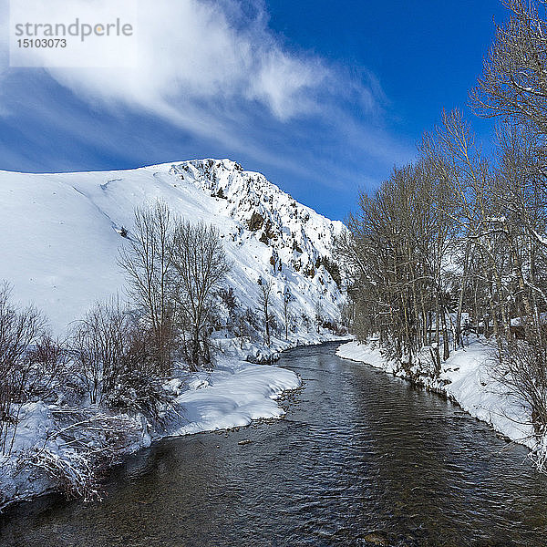 Fluss mit kahlen Bäumen im Schnee in Sun Valley  Idaho  USA