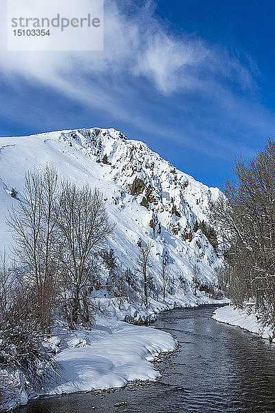 Fluss mit kahlen Bäumen im Schnee in Sun Valley  Idaho  USA
