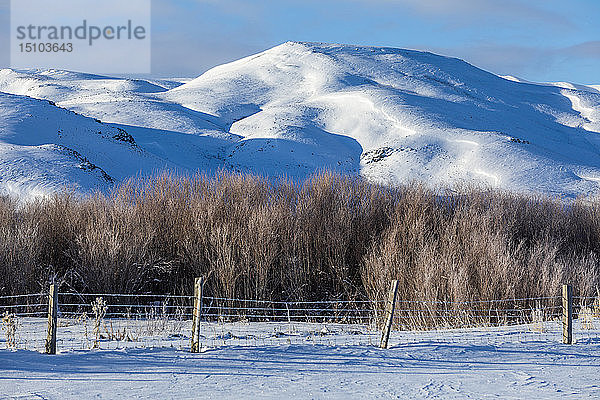 Schneebedeckte Berge in Picabo  Idaho