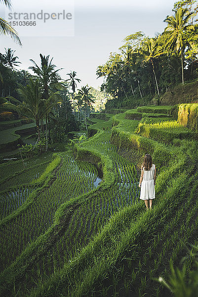 Frau in weißem Kleid auf terrassierten Reisfeldern in Bali  Indonesien