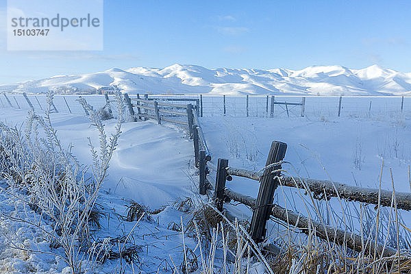 Zaun und Schneefeld im Winter in Picabo  Idaho