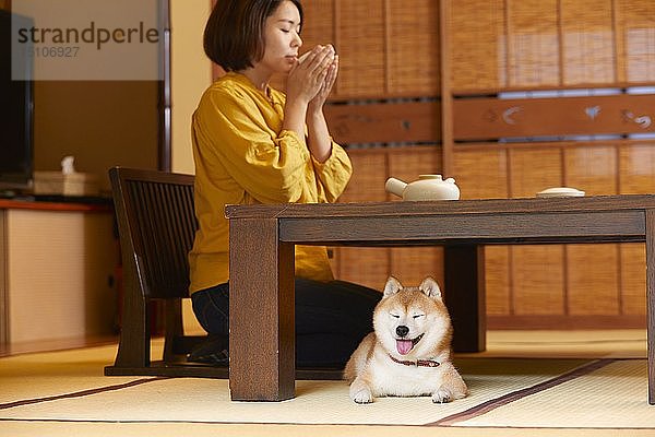 Japanerin und Shiba-Inu-Hund in einem traditionellen Hotel