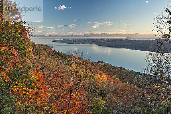 Germany  Baden-Wuerrttemberg  Lake Constance  Sipplingen  autumn forest  Alps and lake