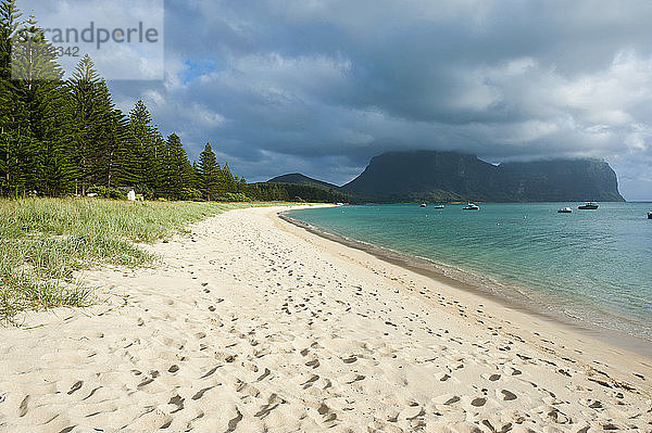 Einsamer Strand mit Mount Lidgbird und Mount Gower im Hintergrund  Lord Howe Island  New South Wales  Australien