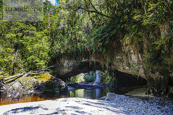 Moria-Torbogen im Oparara-Becken  Karamea  Südinsel  Neuseeland