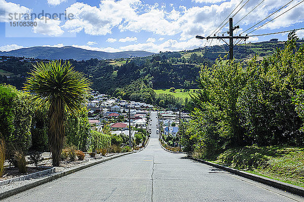 Baldwin Street  die steilste Wohnstraße der Welt  Dunedin  Südinsel  Neuseeland