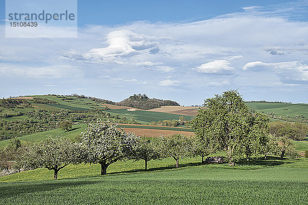 Deutschland  Maegdeberg  Hügellandschaft mit Hegau-Vulkan