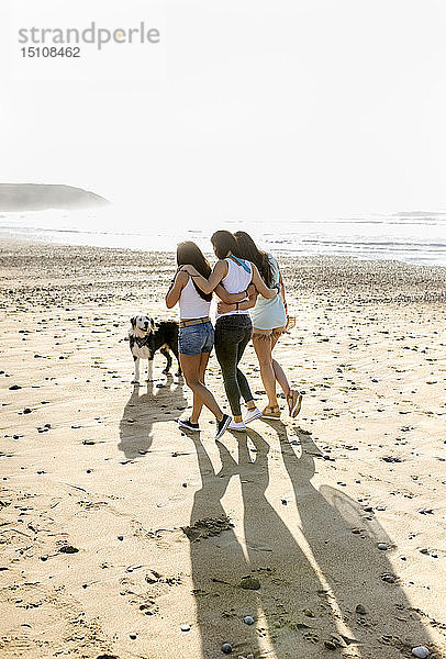 Drei Frauen mit Hund beim Spaziergang am Strand