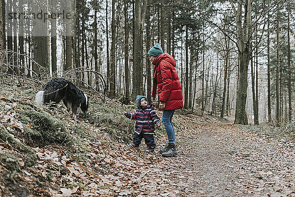 Mutter mit kleiner Tochter und Border Collie im Herbstwald