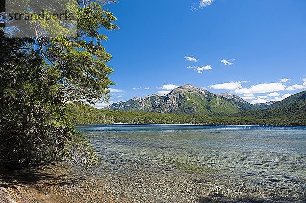 Wunderschöner Bergsee im Nationalpark Los Alerces  Chubut  Argentinien  Südamerika