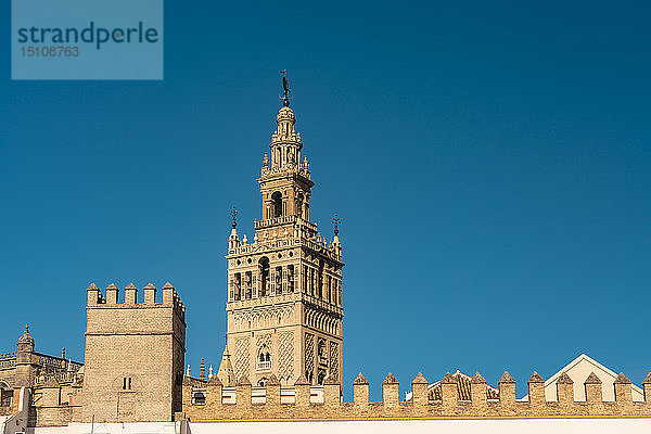 Das Minarett des Königlichen Alcazars und des Turms La Giralda  Sevilla  Spanien